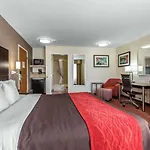 Comfort Inn Los Angeles Near Hollywood